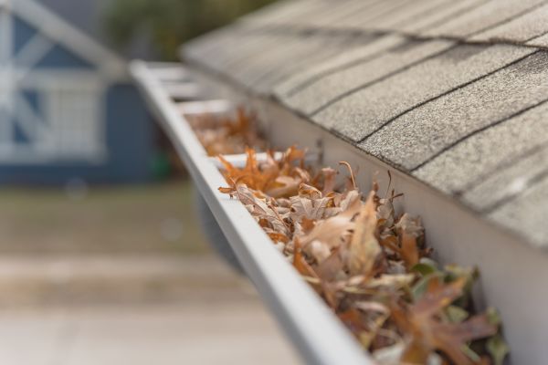 Leaf Barrier Installation in Lake Zurich